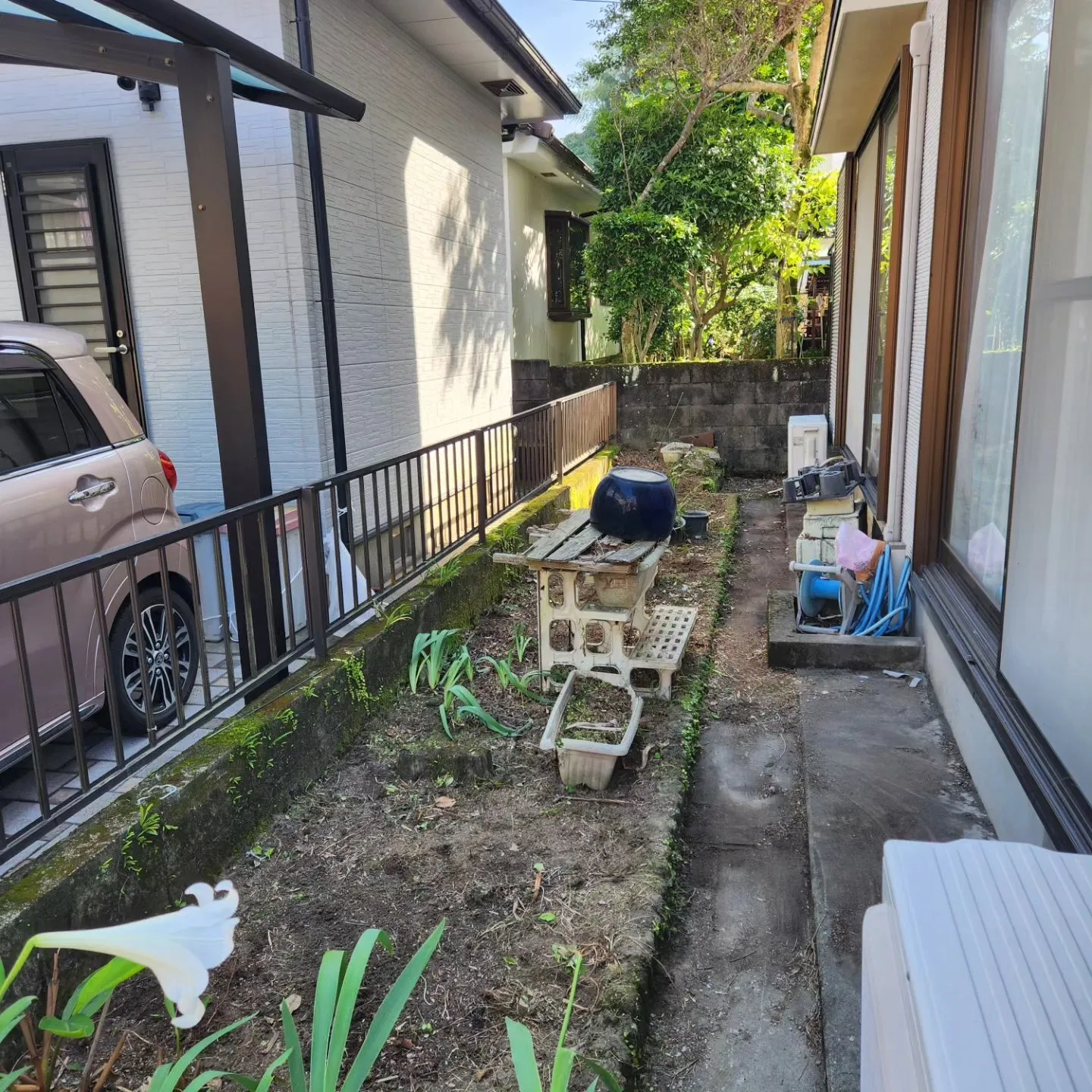 鹿児島市で草むしりと剪定をさせて頂きました。